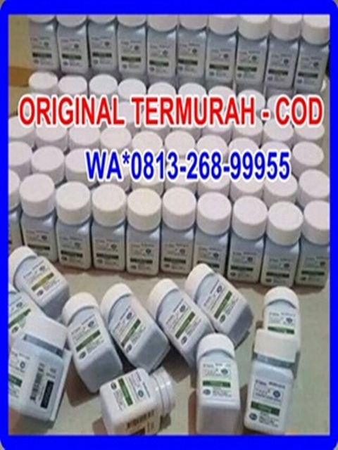 Harga Viagra Eceran Di Solo